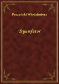 Tryumfator - ebook