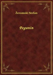 : Poganin - ebook