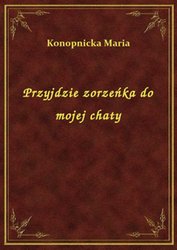 : Przyjdzie zorzeńka do mojej chaty - ebook