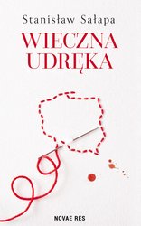 : Wieczna udręka. Zmagania Polaków z własnym państwem - ebook