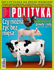 : Polityka - e-wydanie – 33/2013