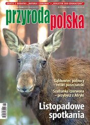 : Przyroda Polska - e-wydanie – 11/2022
