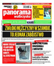 : Panorama Wałbrzyska  - e-wydanie – 25/2022