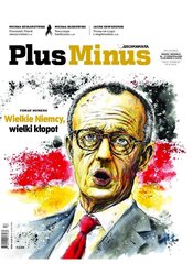 : Plus Minus - e-wydanie – 17/2025