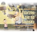 audiobooki: Zdarziło sie na Ślonsku. Łopowieści niysamowite niy ino dlo bajtli - audiobook