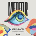 Literatura piękna, beletrystyka: Meteor - audiobook