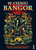 W cieniu Bangor - ebook