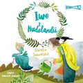 Iwo z Nudolandii - audiobook