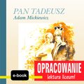 szkolne: Pan Tadeusz - ebook