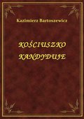 ebooki: Kościuszko Kandyduje - ebook