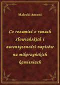 ebooki: Co rozumieć o runach słowiańskich i autentyczności napisów na mikorzyńskich kamieniach - ebook