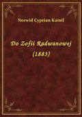 Do Zofii Radwanowej (1883) - ebook
