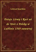 Dzieje Litwy i Rusi aż do Unii z Polską w Lublinie 1569 zawartej - ebook