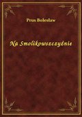 Na Smolikowszczyźnie - ebook