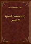 Sylwek Cmentarnik : powieść - ebook