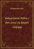 Zakrystianin Palica i Pan Jezus na krzyżu rozpięty - ebook