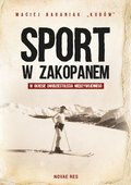 Sport w Zakopanem w okresie dwudziestolecia międzywojennego - ebook