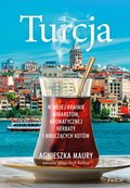Turcja. W mojej krainie minaretów, aromatycznej herbaty i mruczących kotów - ebook