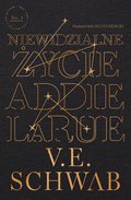 Niewidzialne życie Addie LaRue - ebook