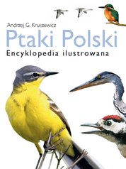 : Ptaki Polski. Encyklopedia ilustrowana - ebook