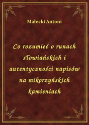 : Co rozumieć o runach słowiańskich i autentyczności napisów na mikorzyńskich kamieniach - ebook