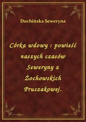 : Córka wdowy : powieść naszych czasów Seweryny z Żochowskich Pruszakowej. - ebook