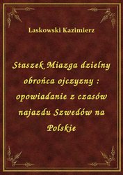 : Staszek Miazga dzielny obrońca ojczyzny : opowiadanie z czasów najazdu Szwedów na Polskie - ebook