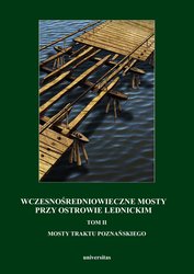 : Wczesnośredniowieczne mosty przy Ostrowie Lednickim. Tom II: Mosty traktu poznańskiego - ebook