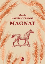 : Magnat - ebook