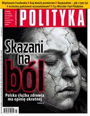 : Polityka - e-wydanie – 27/2013