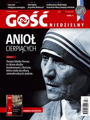 : Gość Niedzielny - Bielsko Żywiecki - e-wydanie – 35/2020